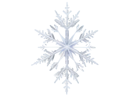 snowflake background,snow flake,blue snowflake,christmas snowflake banner,snowflake,ice crystal,white snowflake,snowflakes,crystalline,gold foil snowflake,summer snowflake,the snow queen,red snowflake,fire flakes,wreath vector,winter aster,glass ornament,winter background,moravian star,wind rose,Photography,Documentary Photography,Documentary Photography 14