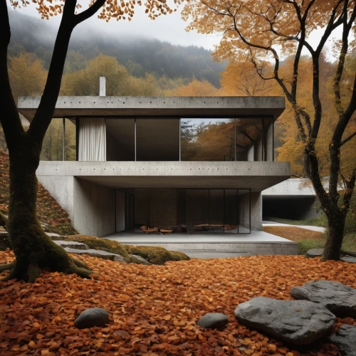 mid century house,house in mountains,house in the mountains,modern house,archidaily,house in the forest,render,dunes house,cubic house,3d rendering,modern architecture,japanese architecture,frame house,residential house,mid century modern,brutalist architecture,home landscape,house drawing,private house,autumn motive,Photography,Artistic Photography,Artistic Photography 06