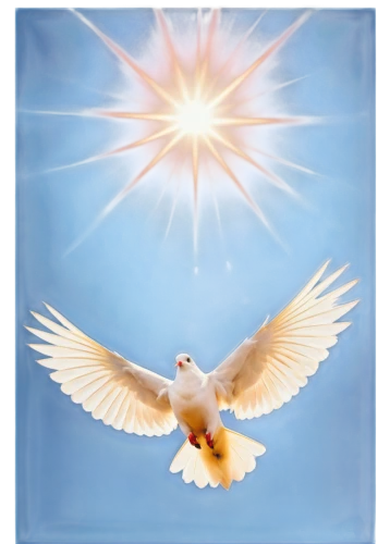dove of peace,holy spirit,doves of peace,pentecost,peace dove,divine healing energy,white dove,christ star,angelology,the angel with the cross,nativity of jesus,fourth advent,the star of bethlehem,sunburst background,nativity of christ,bethlehem star,star of bethlehem,dove,second advent,star-of-bethlehem,Illustration,Realistic Fantasy,Realistic Fantasy 09