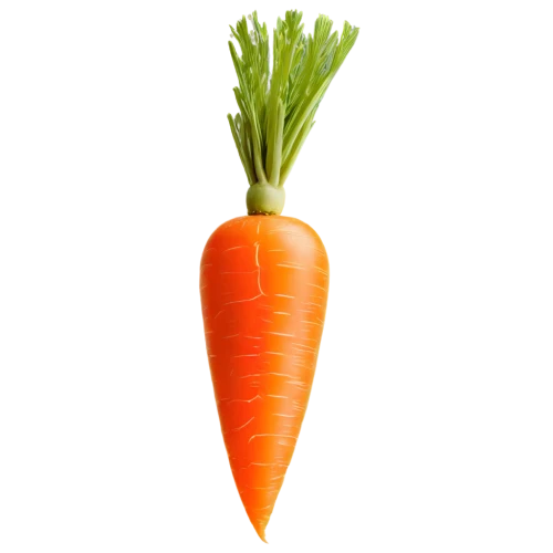 carrot,carrots,love carrot,baby carrot,carrot pattern,big carrot,carrot salad,root vegetable,carrot juice,a vegetable,vegetable,wall,carrot print,cleanup,patrol,defense,vegetable outlines,kawaii vegetables,orange,superfruit,Illustration,Black and White,Black and White 21