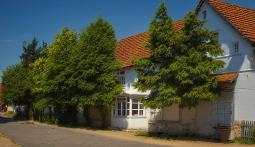 exzenterhaus,uckermark,townhouses,half-timbered houses,row of houses,half-timbered house,town buildings,cottages,old houses,hiddensee,block of houses,danish house,traditional house,half-timbered wall,wooden houses,zuiderzeemuseum,rügen island,scherhaufa,ludwig erhard haus,garden buildings,Photography,General,Realistic