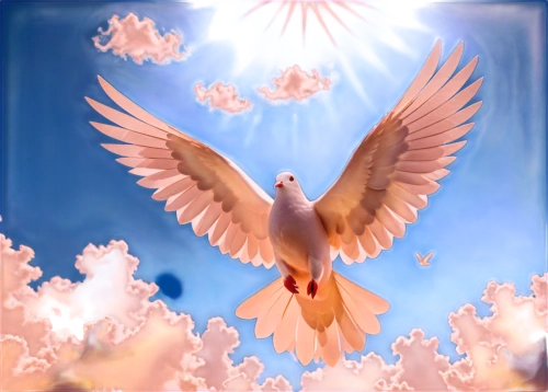 dove of peace,peace dove,doves of peace,sakura background,japanese sakura background,passenger pigeon,holy spirit,beautiful dove,dove,life stage icon,bird in the sky,bird flying,sunburst background,phoenix,bird png,pigeon flying,bird kingdom,background image,galah,bird in flight,Unique,Paper Cuts,Paper Cuts 04