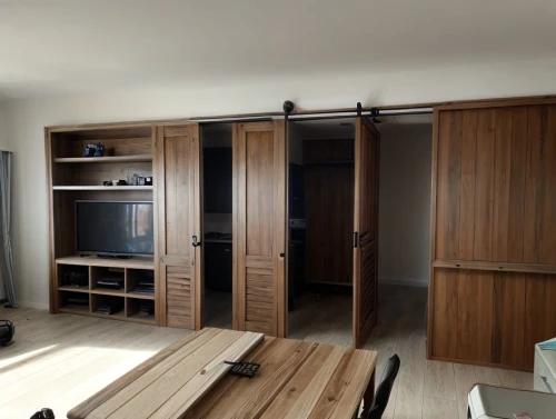 cabinets,cabinetry,dark cabinets,dark cabinetry,kitchen cabinet,entertainment center,walk-in closet,modern room,kitchenette,tv cabinet,room divider,kitchen interior,bonus room,under-cabinet lighting,modern kitchen interior,cabinet,storage cabinet,cupboard,modern kitchen,kitchen-living room