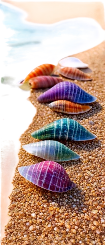 watercolor seashells,seashells,mermaid scales background,wrasses,blue sea shell pattern,seashell,sea shell,beach shell,spiny sea shell,garden cone snail,mermaid scale,sea shells,rainbow waves,marine gastropods,tail fins,mermaid background,shells,mermaid tail,sea snail,sea anemones,Art,Artistic Painting,Artistic Painting 06