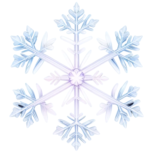 snowflake background,christmas snowflake banner,blue snowflake,ice crystal,snow flake,snowflake,white snowflake,crystalline,summer snowflake,snowflakes,wreath vector,ice flowers,winter aster,flowers png,ice,red snowflake,crystal structure,snowflake cookies,fire flakes,wind rose,Illustration,Realistic Fantasy,Realistic Fantasy 30