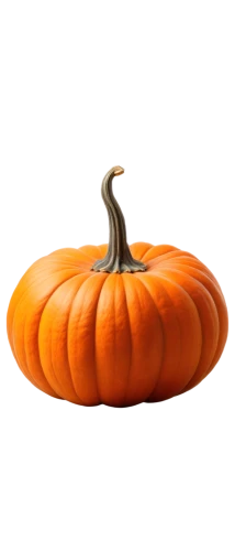 calabaza,cucurbit,cucurbita,gourd,candy pumpkin,pumkin,cucuzza squash,bitter gourd,decorative squashes,halloween pumpkin gifts,pumpkin,pumpkin soup,halloween pumpkin,scarlet gourd,decorative pumpkins,cornucopia,gourds,gem squash,winter squash,pumkins,Illustration,Realistic Fantasy,Realistic Fantasy 14