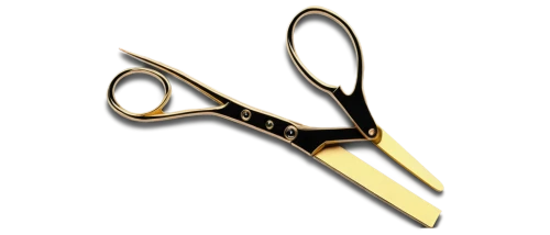 pair of scissors,fabric scissors,jaw harp,diagonal pliers,needle-nose pliers,bamboo scissors,shears,scissors,tongue-and-groove pliers,round-nose pliers,alligator clip,bunting clip art,pliers,slip joint pliers,eyelash curler,jew's harp,nail clipper,paper clip art,paper-clip,tweezers,Illustration,Vector,Vector 02
