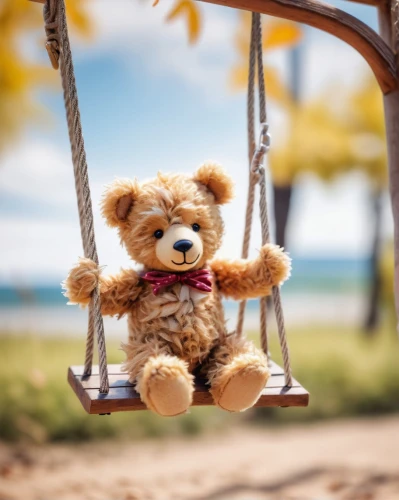 teddy bear waiting,monchhichi,3d teddy,scandia bear,teddy-bear,wooden swing,teddy bear crying,children's background,empty swing,swing set,swinging,bear teddy,teddybear,teddy bear,golden swing,hanging swing,teddy,child in park,garden swing,cute bear,Unique,3D,Panoramic
