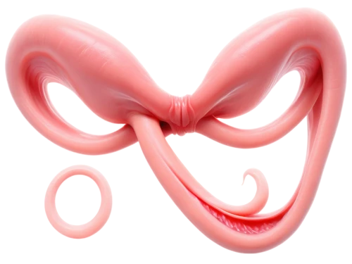 ribbon (rhythmic gymnastics),bow-knot,suction cups,pink ribbon,curved ribbon,ribbon symbol,auricle,figure 8,swirls,uterine,heart swirls,volute,rope (rhythmic gymnastics),ribbon,rmuscles,swirly orb,curlicue,torus,aorta,flaccid anemone,Photography,Documentary Photography,Documentary Photography 32