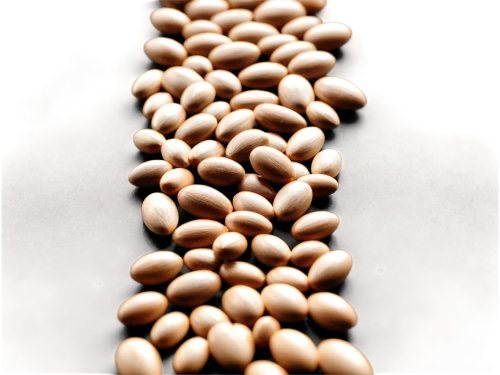 cowpea,soybeans,legume,fregula,soybean oil,soybean,legume family,lentils,seed,pine nut,pine nuts,mung bean,linseed,java beans,seeds,flax seed,common bean,seed wheat,pigeon pea,seed stand,Illustration,Realistic Fantasy,Realistic Fantasy 43