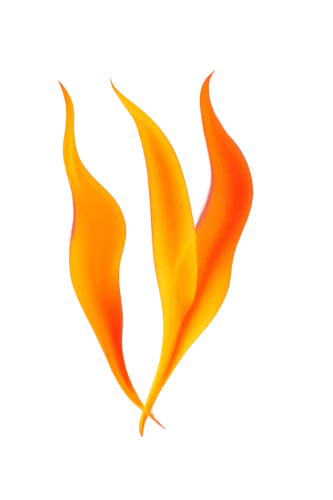 fire logo,fire background,firespin,flaming torch,fire kite,inflammable,fire ring,flame spirit,flame of fire,olympic flame,fire-eater,burning torch,firedancer,fire siren,igniter,conflagration,firethorn,the conflagration,flame vine,gas flame,Photography,Documentary Photography,Documentary Photography 04
