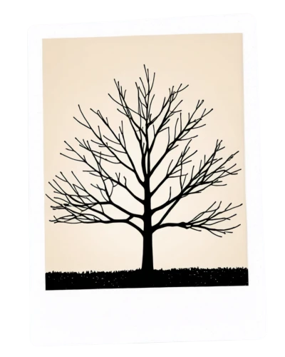 cardstock tree,birch tree illustration,trees with stitching,tree silhouette,old tree silhouette,decorative rubber stamp,brown tree,deciduous tree,birch tree background,bare trees,fir tree silhouette,cool woodblock images,isolated tree,woodblock prints,scratch tree,deciduous trees,bare tree,paper cutting background,tree thoughtless,tree signboard,Photography,Documentary Photography,Documentary Photography 03