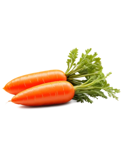 carrots,carrot salad,carrot,carrot pattern,love carrot,vegetable,mirepoix,baby carrot,crudités,snack vegetables,vegetables,a vegetable,carrot juice,fresh vegetables,vegetable outlines,big carrot,veggie,colorful vegetables,rapini,veggies,Illustration,Japanese style,Japanese Style 13