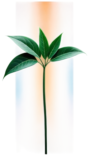 growth icon,oil-related plant,houseplant,sapling,green plant,potted plant,tropical leaf,rank plant,money plant,plant sap,ornamental plants,container plant,plant stem,aromatic plant,herbaceous plant,perennial plant,oleaceae,thick-leaf plant,plant oil,century plant,Conceptual Art,Daily,Daily 28