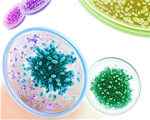 coronaviruses,biosamples icon,coronavirus,macrocystis,bacterial species,petri dish,coronavirus disease covid-2019,pathogens,antimicrobial,coronavirus test,bacterium,bacteria,coronavirus masks,spores,pathogen,globules,cell structure,softgel capsules,isolated product image,koli bacteria,Illustration,Abstract Fantasy,Abstract Fantasy 12