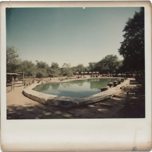 swim ring,outdoor pool,dug-out pool,swimming pool,crescent spring,1950s,lake park,1955 montclair,1960's,mineral spring,pool water,mid century,dodge meadowbrook,fountain pond,riverside park,pigeon spring,herman park,herman park zoo,1940s,thermal spring,Photography,Documentary Photography,Documentary Photography 03