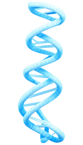 dna helix,dna strand,dna,rna,deoxyribonucleic acid,double helix,nucleotide,genetic code,biosamples icon,helix,helical,isolated product image,biological,spiral background,acefylline,membranophone,rod of asclepius,rope-ladder,limicoles,the structure of the,Art,Artistic Painting,Artistic Painting 30