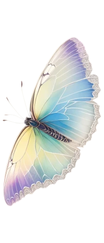 butterfly vector,butterfly clip art,blue butterfly background,flutter,butterfly background,ulysses butterfly,morpho,hesperia (butterfly),glass wing butterfly,butterflay,papillon,butterfly,morpho butterfly,aurora butterfly,vanessa (butterfly),cupido (butterfly),french butterfly,isolated butterfly,c butterfly,butterfly isolated,Art,Artistic Painting,Artistic Painting 41