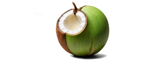kelapa,organic coconut,king coconut,coconut,cocos nucifera,the green coconut,areca nut,coconut leaf,yucca,schisandraceae,coconut shell,coconut water,coconut perfume,hardneck garlic,banana flower,coconut palm,coconut fruit,rabihorcado,avacado,figleaf gourd,Illustration,American Style,American Style 10