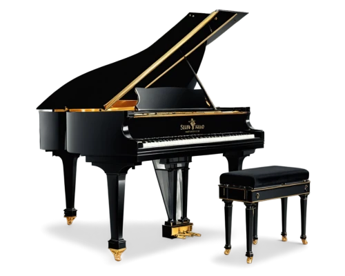 steinway,grand piano,fortepiano,player piano,yamaha p-120,the piano,digital piano,play piano,piano keyboard,piano,pianos,concerto for piano,bowed instrument,prince r380,pianet,harpsichord,keyboard instrument,spinet,treble cleft,ondes martenot,Illustration,Vector,Vector 01