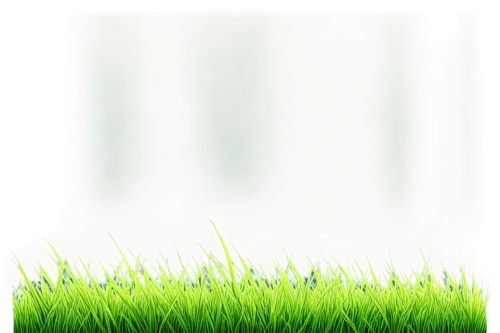 artificial grass,quail grass,mobile video game vector background,wheat germ grass,background vector,golf course grass,transparent background,artificial turf,cleanup,block of grass,golf course background,grass,meadow fescue,grass blades,green background,aaa,spring leaf background,halm of grass,green grass,green wallpaper,Illustration,Paper based,Paper Based 13