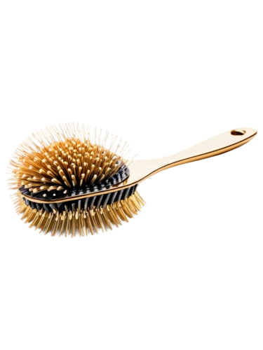 hair brush,hairbrush,bristles,lemon beebrush,dish brush,comb,hair comb,natural brush,combs,cosmetic brush,management of hair loss,brush,rope brush,combing,banksia,cockscomb,bristle,durian seed,castor oil,artificial hair integrations,Illustration,Paper based,Paper Based 20