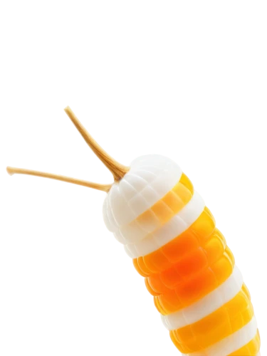 beeswax candle,citronella,mayonaise,lemon beebrush,beeswax,honey dipper,candy corn,cone,valencia orange,cotton swab,waxworm,aioli,honey candy,mealworm,honey products,common glue,honey jar,larva,pencil icon,varroa,Photography,Documentary Photography,Documentary Photography 31