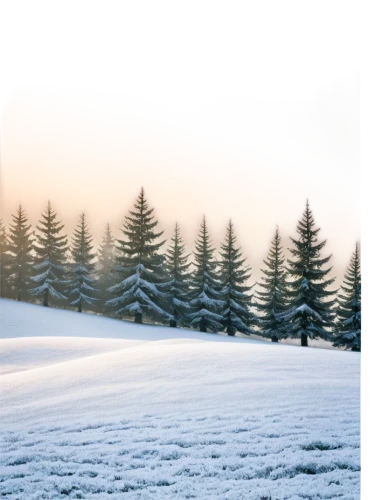 christmas snowy background,snowflake background,snow in pine trees,coniferous forest,winter background,temperate coniferous forest,spruce trees,evergreen trees,coniferous,ore mountains,spruce-fir forest,snow trees,winter forest,snow landscape,fir forest,snowy landscape,fir trees,winter landscape,nordmann fir,blue spruce,Illustration,Abstract Fantasy,Abstract Fantasy 08