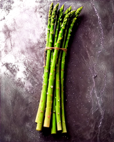 green asparagus,asparagus,prussian asparagus,spring onion,celery stalk,brass chopsticks vegetables,celtuce,wild celery,spring onions,vegetable skewer,shrub celery,chinese celery,green dragon vegetable,calçot,scallion,snack vegetables,rock samphire,garnishes,rapini,watercress,Illustration,Vector,Vector 18