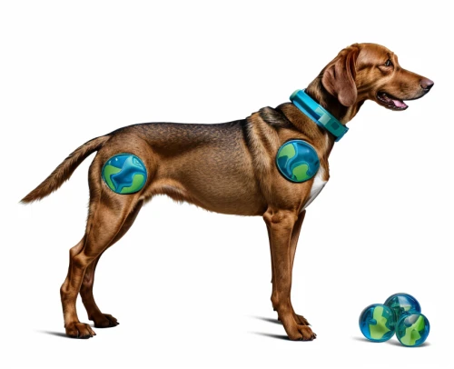 redbone coonhound,vizla,fila brasileiro,coonhound,disc dog,bloodhound,english coonhound,dog illustration,portuguese pointer,german shorthaired pointer,vizsla,bluetick coonhound,rhodesian ridgeback,labrador,mountain cur,canidae,german pinscher,short haired german shorthaired pointer,labrador retriever,pluto