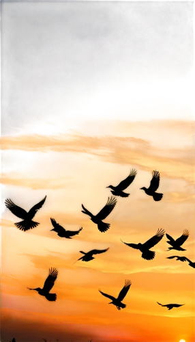 birds in flight,bird flight,birds flying,flying birds,migratory birds,flock of birds,bird in the sky,bird painting,bird migration,flying sea gulls,crested terns,gulls,geese flying,flock home,mumuration,the birds,sea gulls,swifts,birds,migration,Illustration,Realistic Fantasy,Realistic Fantasy 40