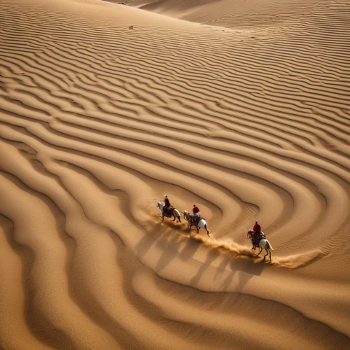 crescent dunes,gobi desert,the gobi desert,xinjiang,moving dunes,sand dunes,admer dune,sand paths,libyan desert,camel caravan,capture desert,camel train,dune landscape,the sand dunes,dunes national park,camels,pink sand dunes,sahara desert,sand road,sand waves,Photography,General,Realistic