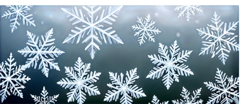 snowflake background,christmas snowflake banner,christmas snowy background,winter background,frosted glass pane,frosted glass,snow on window,christmasbackground,snowflakes,winter window,christmas background,gold foil snowflake,christmas wallpaper,hoarfrost,christmas tree pattern,snow flake,background vector,snow drawing,frost,white snowflake,Illustration,Realistic Fantasy,Realistic Fantasy 29