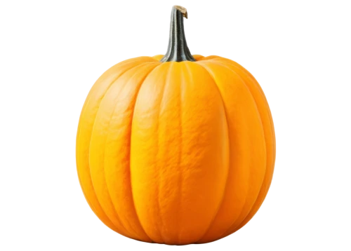 calabaza,gem squash,candy pumpkin,cucurbita,white pumpkin,winter squash,halloween pumpkin,halloween pumpkin gifts,scarlet gourd,cucuzza squash,gourd,pumkin,pumpkin,decorative pumpkins,figleaf gourd,cucurbit,pumpkin lantern,hokkaido pumpkin,jack-o'-lantern,pumkins,Photography,General,Fantasy