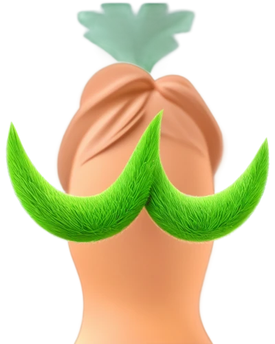 head of lettuce,bellpepper,pompadour,beard flower,green paprika,muskmelon,poblano,pony tail palm,moustache,mustache,bell pepper,growth icon,sombrero mist,vegetable outlines,a vegetable,persian onion,mushroom hat,basil total,chayote,basil,Photography,Fashion Photography,Fashion Photography 21