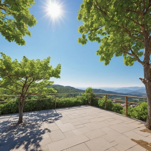 volterra,tuscan,tuscany,provencal life,wine-growing area,aventine hill,view panorama landscape,provence,pergola,istria,mediterranean,lycian way,360 ° panorama,roof landscape,olive grove,vineyards,holiday villa,virtual landscape,terrace,peloponnese,Photography,General,Realistic