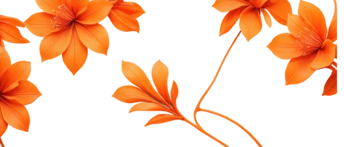 flowers png,orange flowers,floral digital background,flower background,minimalist flowers,orange floral paper,orange petals,paper flower background,orange flower,orange lily,orange red flowers,red orange flowers,chrysanthemum background,flower illustrative,defense,tiger lily,wood daisy background,tulip background,floral background,floral mockup,Conceptual Art,Sci-Fi,Sci-Fi 02