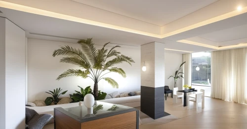 contemporary decor,modern decor,modern room,interior modern design,interior decoration,fan palm,home interior,search interior solutions,tropical house,room divider,palm garden,daylighting,cycad,stucco ceiling,hallway space,interior decor,core renovation,shared apartment,royal palms,plantation shutters,Photography,General,Realistic