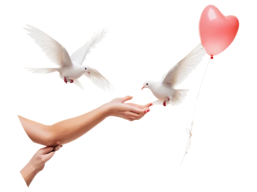 doves of peace,dove of peace,winged heart,heart clipart,birds with heart,valentine clip art,love bird,for lovebirds,valentine's day clip art,handing love,doves,flying heart,heart in hand,doves and pigeons,two hearts,peace dove,heart balloon with string,cupid,love in air,heart balloons,Illustration,Realistic Fantasy,Realistic Fantasy 22