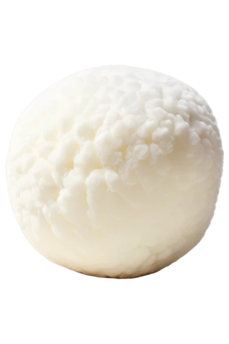 mozarella,asiago pressato,pecorino romano,limburger cheese,emmenthal cheese,gorgonzola,emmenthaler cheese,sheep milk cheese,camembert cheese,white cheddar,ugali,burmilla,brie de meux,grana padano,camembert,yeast dough,mozzarella,pecorino sardo,sheep cheese,baleada,Illustration,Children,Children 03