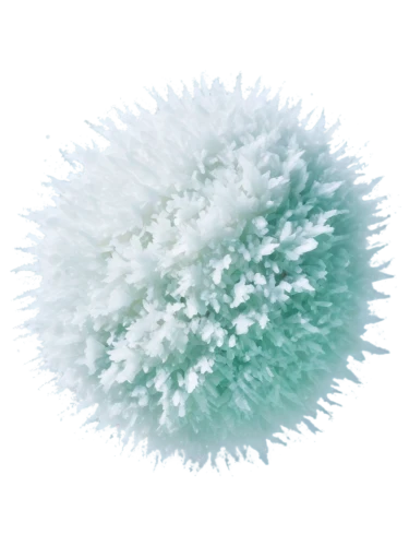 fragrant snowball,sea-urchin,pompom,sea urchin,klepon,ice ball,blowball,sno balls,snow ball,sno-ball,snowball,urchin,cotton boll,sea urchins,pom-pom,insect ball,fir tree ball,ball thistle,bath ball,luffa,Illustration,Japanese style,Japanese Style 20