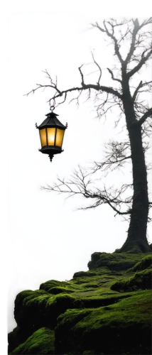 hanging lantern,landscape lighting,illuminated lantern,lantern,street lamps,lampshade,lamplighter,lampshades,iron street lamp,street lamp,streetlamp,gas lamp,outdoor street light,grave light,streetlight,cd cover,tee light,fairy lanterns,lanterns,incidence of light,Art,Artistic Painting,Artistic Painting 28