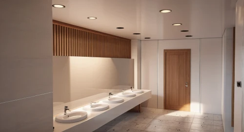 modern minimalist bathroom,luxury bathroom,shower bar,3d rendering,shower base,bathroom,washroom,urinal,toilets,shower door,interior modern design,bathroom accessory,rest room,plumbing fitting,washbasin,render,modern decor,interior design,shower panel,toilet,Photography,General,Realistic