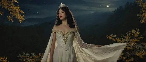 queen of the night,swath,fairy queen,the enchantress,the snow queen,snow white,miss circassian,the night of kupala,lady of the night,cinderella,queen anne,princess sofia,a princess,fantasy woman,hedy lamarr-hollywood,white rose snow queen,enchanted,enchanting,sorceress,celtic queen,Illustration,Japanese style,Japanese Style 12