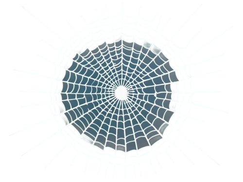tangle-web spider,spider network,wreath vector,spirograph,spiderweb,spirography,spider web,web element,cogwheel,harvestman,dribbble icon,mandala framework,spectrum spirograph,spider net,gray icon vectors,web,circular star shield,spider's web,cobweb,flat blogger icon,Unique,3D,Panoramic