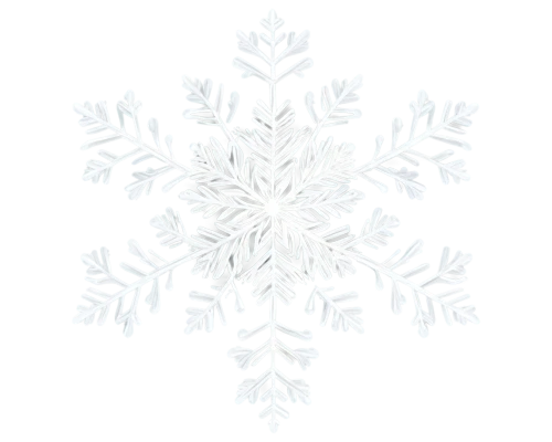 snowflake background,christmas snowflake banner,white snowflake,snow flake,snowflake,gold foil snowflake,blue snowflake,christmas tree pattern,summer snowflake,snowflakes,ice crystal,wreath vector,snow drawing,christmas pattern,christmas snowy background,white rose snow queen,white floral background,snowflake cookies,heracleum (plant),watercolor christmas pattern,Photography,Fashion Photography,Fashion Photography 23