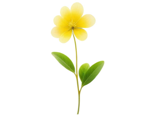 flowers png,yellow allamanda,allamanda,upright yellow sorrel,minimalist flowers,flower background,freesia,yellow flower,lotus png,yellow petal,jasminum,primrose jasmine,ylang-ylang,allamanda cathartica,yellow rose background,carolina jasmine,single flower,sand coreopsis,yellow orchid,windflower,Illustration,Realistic Fantasy,Realistic Fantasy 29