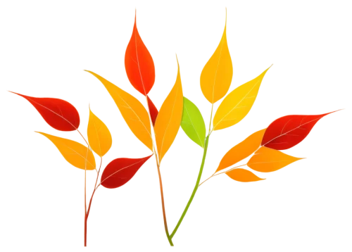 leaf background,spring leaf background,colored leaves,colorful leaves,autumn icon,fall leaf border,autumn background,autumn leaf paper,foliage coloring,watercolor leaves,leaf icons,autumn theme,fall leaf,autumn leaf,autumnal leaves,fall foliage,red leaf,autumn foliage,red leaves,autumn decor,Illustration,Paper based,Paper Based 05