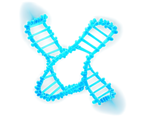 dna helix,dna strand,biosamples icon,rna,nucleotide,deoxyribonucleic acid,antibody,chromosomes,dna,double helix,genetic code,cancer ribbon,ribbon symbol,bacteriophage,vertex,acefylline,isolated product image,razor ribbon,limicoles,membranophone,Illustration,Black and White,Black and White 19