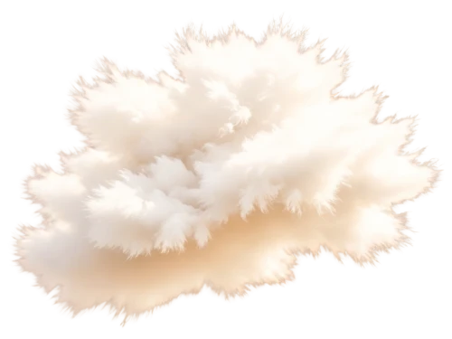 cloud mushroom,cloud shape frame,soft coral,dust cloud,ostrich feather,cloud shape,hericium,cloud image,cloud of smoke,cumulus nimbus,paper clouds,cloud,cloud roller,cloud mountain,partly cloudy,fluff,swelling cloud,smoke plume,silkie,cloud bank,Illustration,Paper based,Paper Based 06